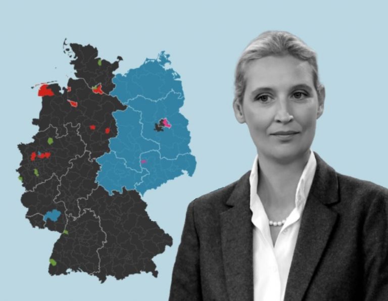 Τι γίνεται με το 80% που είπε «Όχι» στην Εναλλακτική για τη Γερμανία;