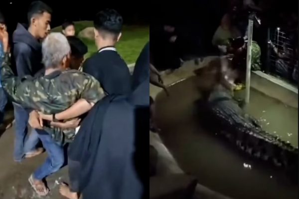 Ινδονησία: Κροκόδειλος επιτέθηκε σε ηλικιωμένο που επιχείρησε να τον ταΐσει – Τραυματίστηκε σοβαρά στο χέρι