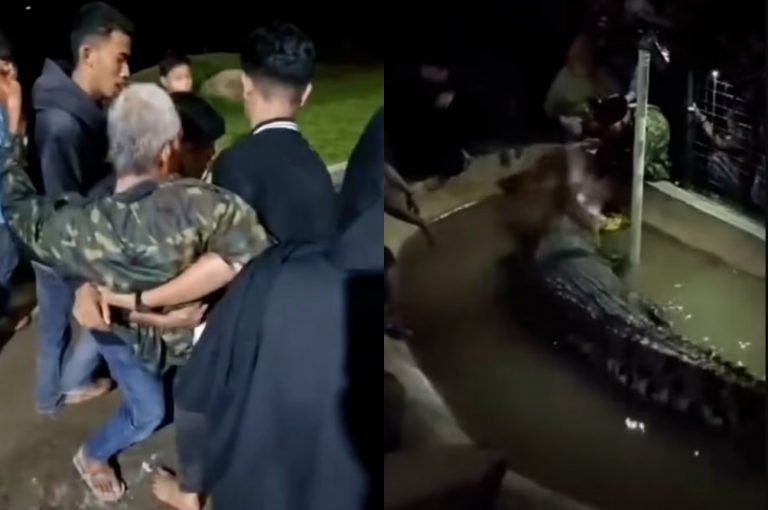 Ινδονησία: Κροκόδειλος επιτέθηκε σε ηλικιωμένο που επιχείρησε να τον ταΐσει – Τραυματίστηκε σοβαρά στο χέρι