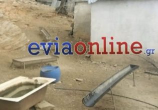 Κάρυστος: Το «κολαστήριο» που ζούσε η 53χρονη