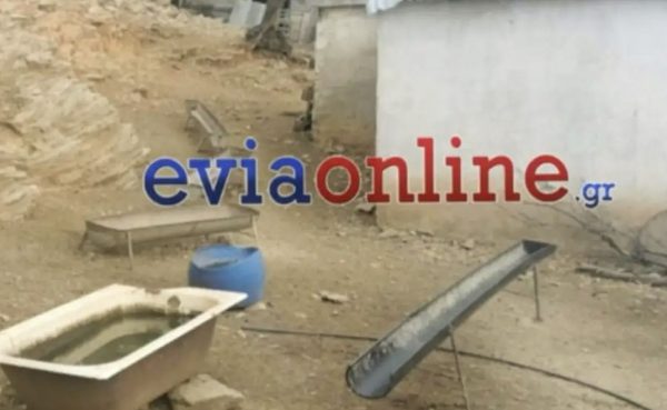 Κάρυστος: Το «κολαστήριο» που ζούσε η 53χρονη