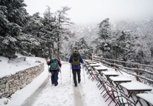 Κακοκαιρία Coral: Χειμωνιάτικη μαγεία στην Πάρνηθα – Εικόνες από το χιονισμένο τοπίο