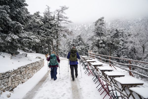 Κακοκαιρία Coral: Χειμωνιάτικη μαγεία στην Πάρνηθα – Εικόνες από το χιονισμένο τοπίο