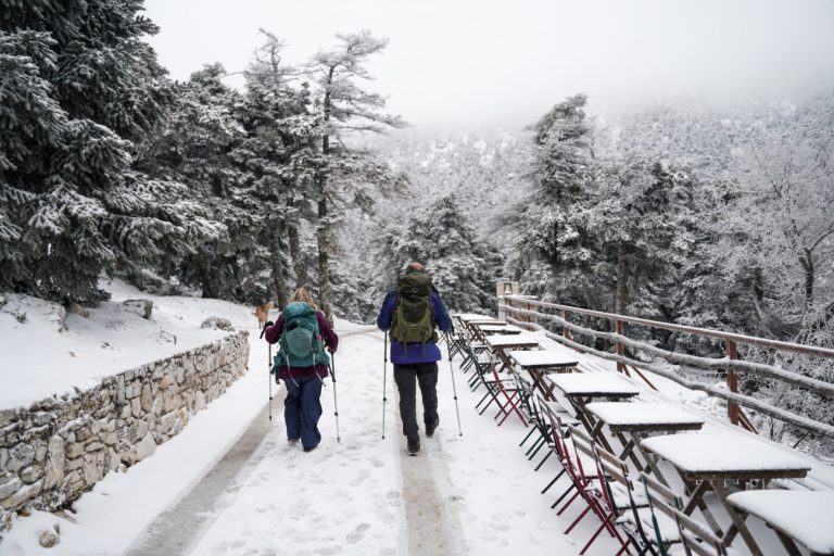 Κακοκαιρία Coral: Χειμωνιάτικη μαγεία στην Πάρνηθα – Εικόνες από το χιονισμένο τοπίο