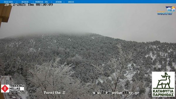 Πάρνηθα: Ξεκίνησε η χιονόπτωση – Πού διακόπηκε η κυκλοφορία των οχημάτων