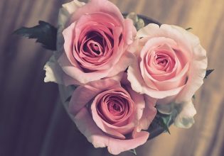 Γαλλία: Μολυσμένα με απαγορευμένα φυτοφάρμακα τα μπουκέτα λουλουδιών