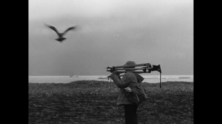 27ο ΦΝΘ: Πέντε συγκλονιστικά ντοκιμαντέρ που εξερευνούν τη σχέση του ανθρώπου με το περιβάλλον