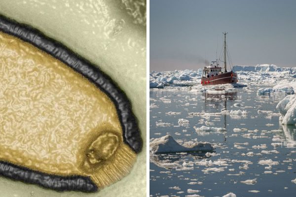 Πανδημία: Οι ιοί «ζόμπι» και ένας αρχαίος κίνδυνος που ξυπνά – Νέα απειλή λόγω κλιματικής αλλαγής;