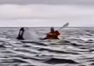 «Δεν είχα καν τον χρόνο να φοβηθώ» – Τι λέει ο 24χρονος που βρέθηκε στο στόμα της φάλαινας