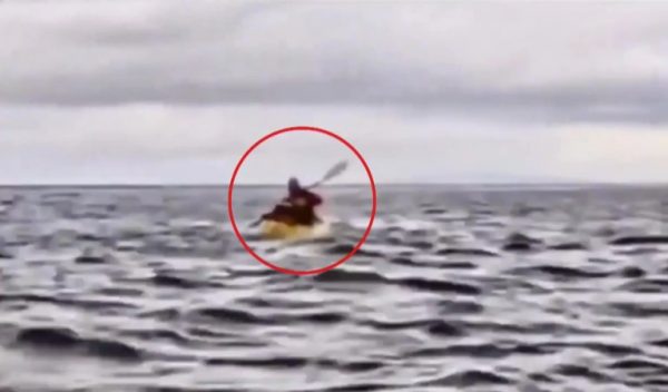 Χιλή: Φάλαινα κατάπιε νεαρό και τον «έφτυσε» σώο και αβλαβή