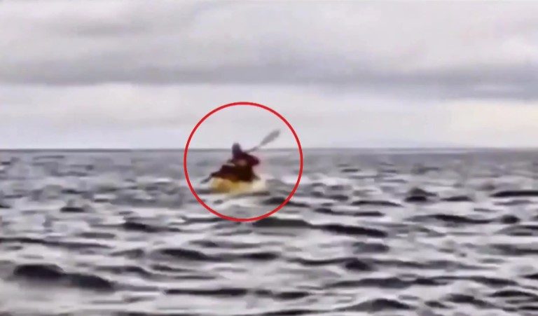 Χιλή: Φάλαινα κατάπιε νεαρό και τον «έφτυσε» σώο και αβλαβή