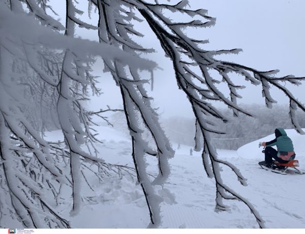Καιρός: Χιόνια στην Εύβοια – Στα λευκά «ντύθηκαν» τα χωριά Καμπιά και Σέτα