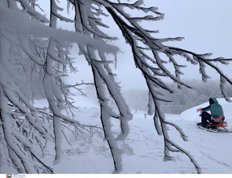 Καιρός: Χιόνια στην Εύβοια – Στα λευκά «ντύθηκαν» τα χωριά Καμπιά και Σέτα