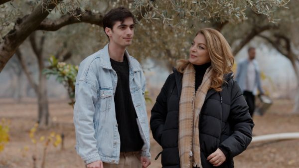 Η γη της ελιάς: Ατυχήματα, σχέδια και εκπλήξεις