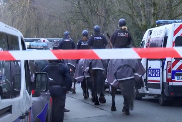 Γαλλία: Σοκ με τον θάνατο 11χρονης – Βρέθηκε μαχαιρωμένη σε δάσος κοντά στο σχολείο της
