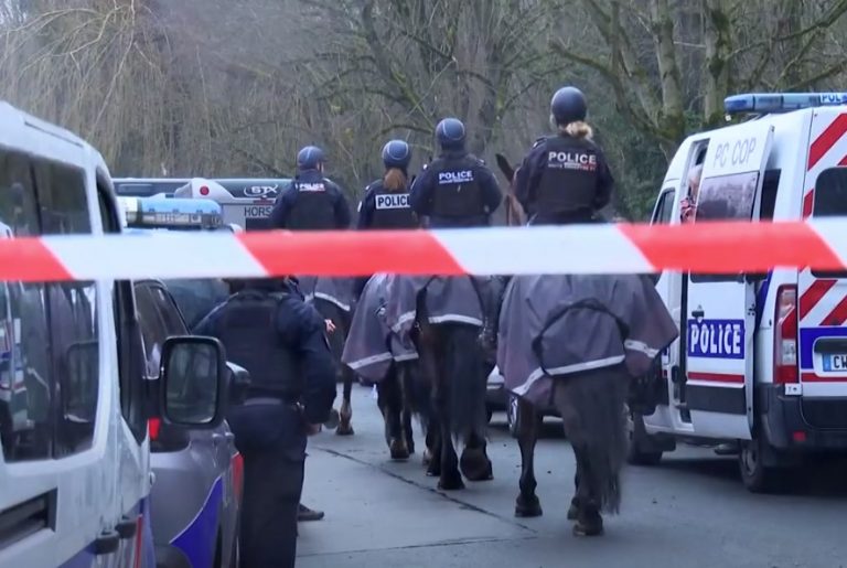 Γαλλία: Σοκ με τον θάνατο 11χρονης – Βρέθηκε μαχαιρωμένη σε δάσος κοντά στο σχολείο της