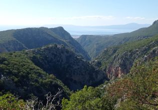 Αντιπυρικές ζώνες σε 13 οικισμούς του Δήμου Καλαμάτας για ενίσχυση της πυροπροστασίας