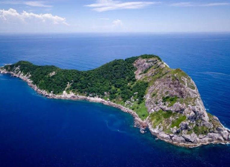 Ilha da Queimada Grande: Γιατί σε αυτό το νησί απαγορεύεται να πατήσει άνθρωπος;