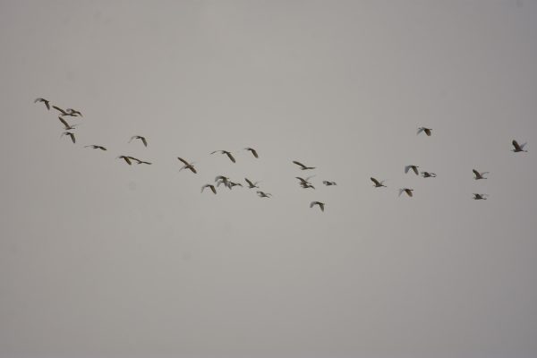 Καιρός: Αφρικανική σκόνη, βροχές και καταιγίδες – Πού θα είναι έντονα τα φαινόμενα