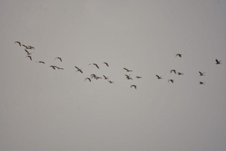 Καιρός: Αφρικανική σκόνη, βροχές και καταιγίδες – Πού θα είναι έντονα τα φαινόμενα