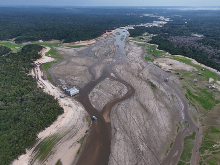 Αμαζόνιος: Καταστράφηκε δάσος για να φτιαχτεί δρόμος… για την κλιματική σύνοδο