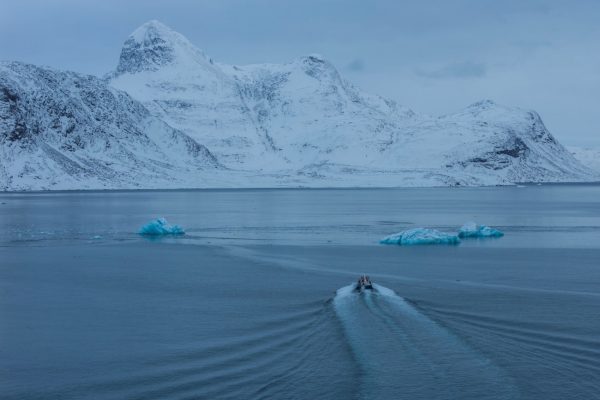 Γροιλανδία: Ανησυχητική η φωτογραφία που δείχνει χάσκι να περπατάνε στο νερό – Σε χρόνο ρεκόρ λιώνουν οι πάγοι