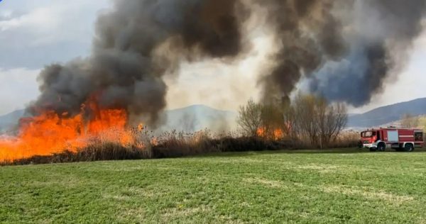 Φωτιά: Μάχη με τις φλόγες στην Καστοριά – Πολλαπλά τα μέτωπα