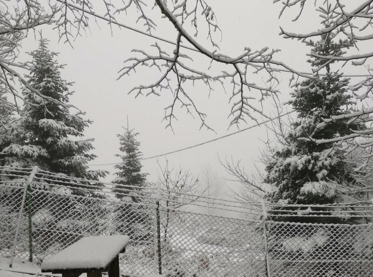 Θεσσαλονίκη: Καθαρά Δευτέρα στα… λευκά στο καταφύγιο του Χορτιάτη