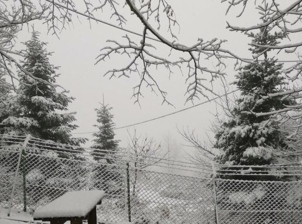 Θεσσαλονίκη: Καθαρά Δευτέρα στα… λευκά στο καταφύγιο του Χορτιάτη