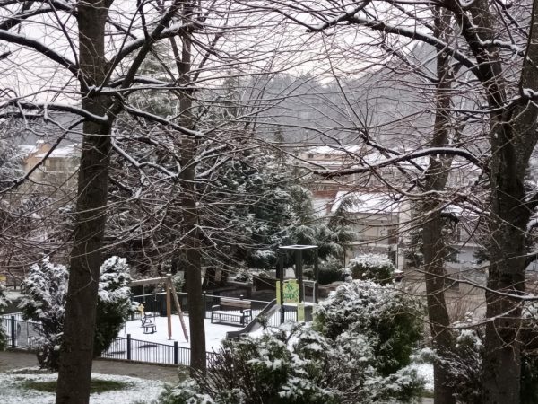 Επέστρεψε ο χειμώνας στη Φλώρινα – Χαμηλές θερμοκρασίες και χιονόπτωση