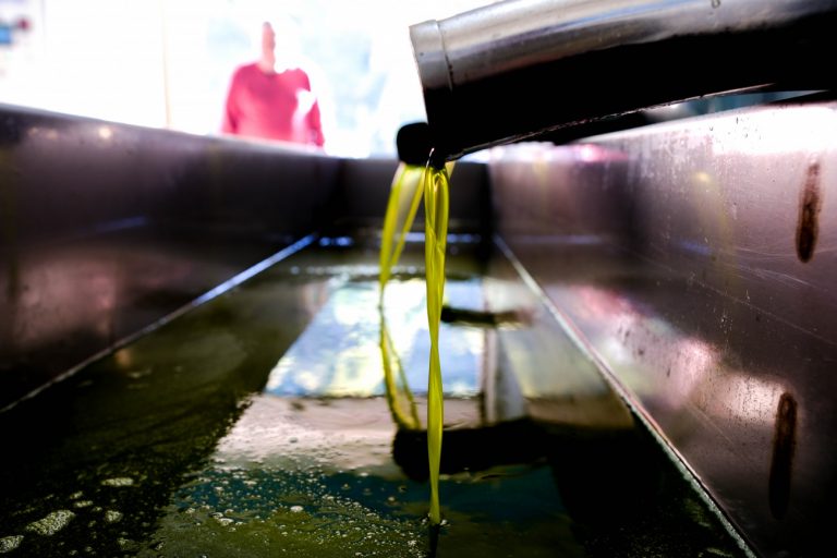 Ιταλία και Ελλάδα επιταχύνουν τις εξαγωγές ελαιολάδου