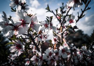 Αττική: Οι δήμοι τιμούν την Ημέρα της Γυναίκας – Όλες οι εκδηλώσεις