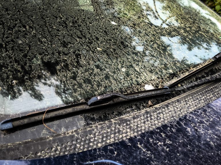 Καιρός: Αφρικανική σκόνη, βροχές και δυνατοί άνεμοι – Πού θα χιονίσει