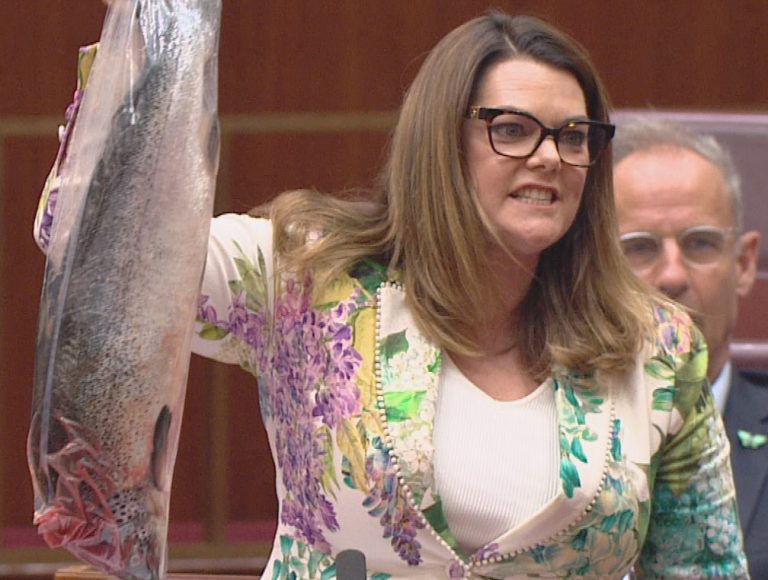 Αυστραλία: Γερουσιαστής πήγε στο κοινοβούλιο με νεκρό σολομό – «Προδώσατε τις περιβαλλοντικές σας αρχές»