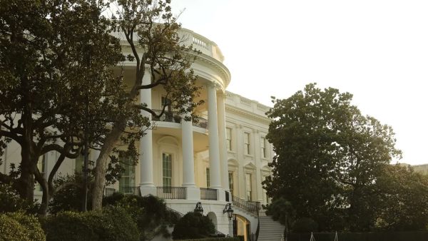 Τραμπ: Κόβει την ιστορική μανόλια του Λευκού Οίκου – Την είχε φυτεύσει ο Άντριου Τζάκσον