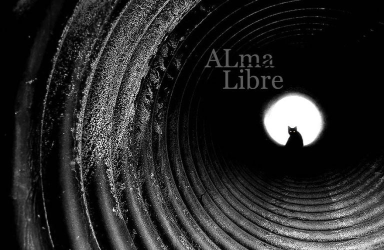 Εθελόντρια της Alma Libre χρειάζεται την βοήθεια όλων μας