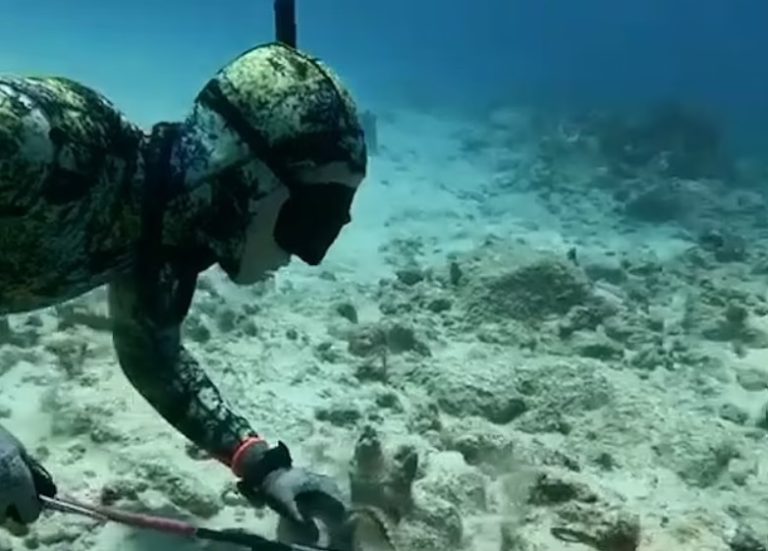 Η στιγμή που χταπόδι επιτίθεται σε δύτη – Σφίγγει τα πλοκάμια γύρω από τον λαιμό του