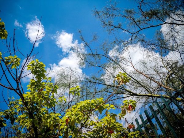 Ζέστη και θερμοκρασίες ρεκόρ σε πολλές περιοχές της χώρας – Ξεπέρασε τους 31˚C βαθμούς ο υδράργυρος