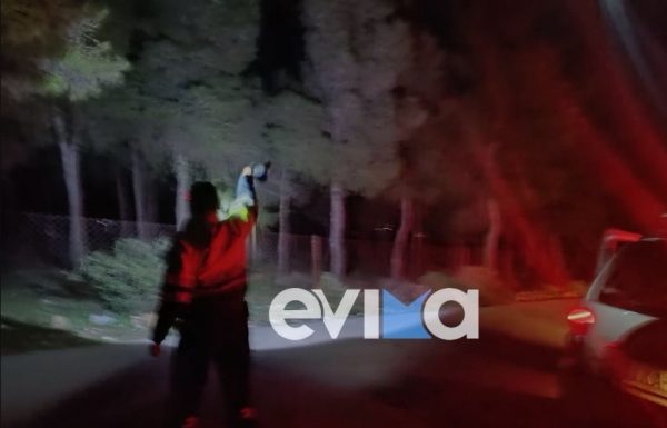 Εύβοια: Εντοπίστηκε βαριά τραυματισμένος 57χρονος μελισσοκόμος έπειτα από τροχαίο