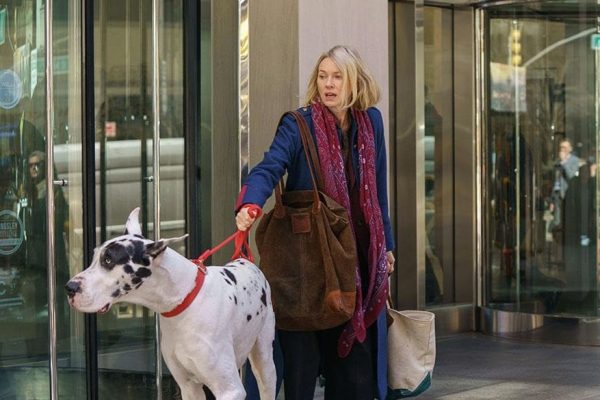 «The Friend»: Πως ένας «Μεγάλος Δανός» γίνεται ο καλύτερος συμπρωταγωνιστής σε μια ταινία;