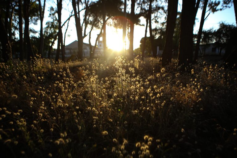 Καιρός: Αίθριος με λίγες νεφώσεις – Ανεβαίνει η θερμοκρασία