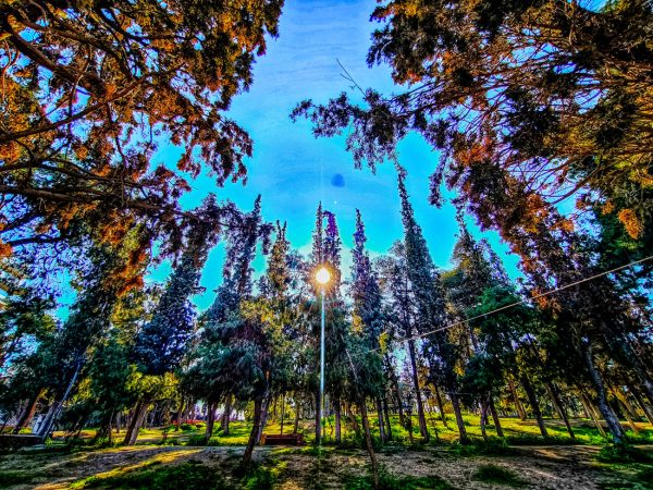 Καιρός: Μικρή άνοδος της θερμοκρασίας την Πέμπτη