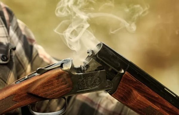 Λέσβος: Πυροβόλησε και σκότωσε σκύλο με κυνηγετικό όπλο – Συνελήφθη ο δράστης