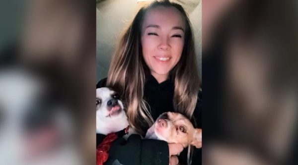 «500 δολάρια το βίντεο»: Influencer συνελήφθη για κτηνοβασία, βίαζε το τσιουάουα της