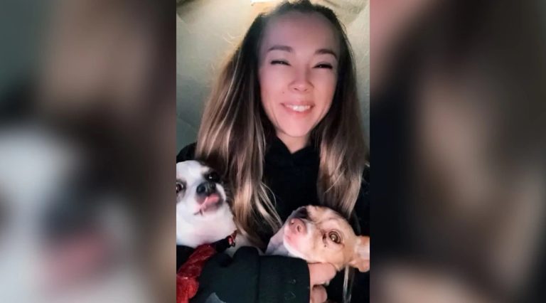 «500 δολάρια το βίντεο»: Influencer συνελήφθη για κτηνοβασία, βίαζε το τσιουάουα της