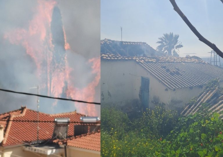 Μεσσηνία: Φωτιά στις αυλές των σπιτιών στη Λαχανάδα – Ξεκίνησε από καύση κλαδιών