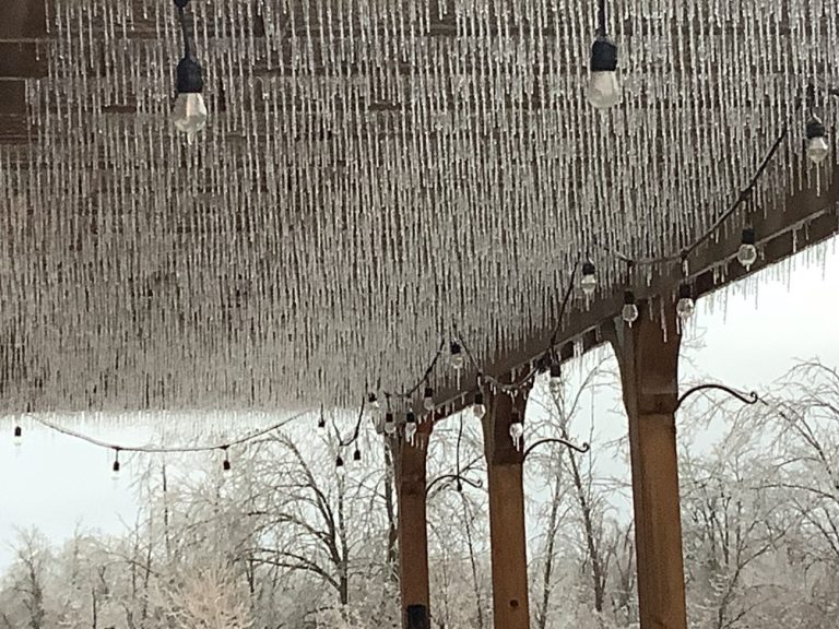 Καναδάς: Παγοθύελλα σαρώνει το Οντάριο – Εκατοντάδες χιλιάδες χωρίς ρεύμα –  Ζημιές σε υποδομές