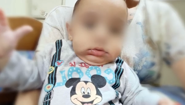 Αμαλιάδα: Αποκάλυψη σοκ – Φάκελος «φωτιά» στα χέρια του εισαγγελέα