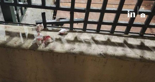 Κηφισιά: Εικόνες σοκ από την επίθεση κουκουλοφόρων σε ανήλικους