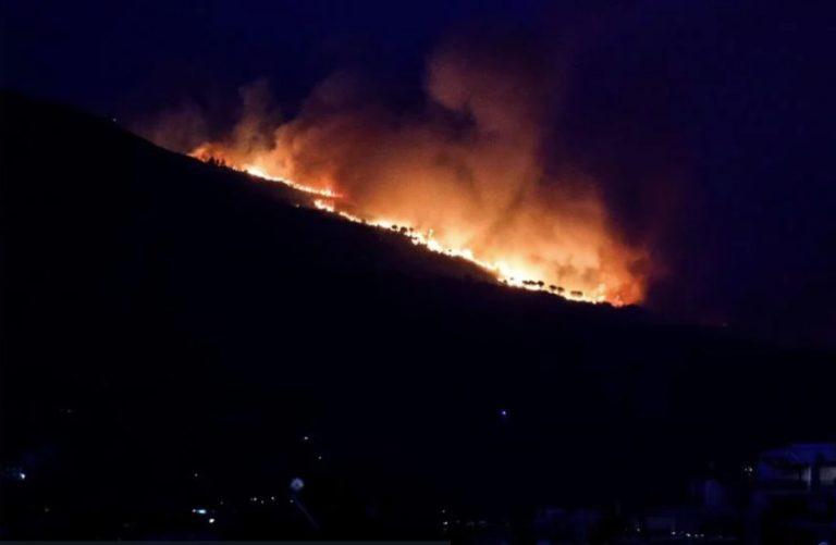 Εύβοια: Πυρκαγιά σε δασική έκταση στους Καλλιανούς Καρύστου – Προειδοποιητικό μήνυμα από το 112